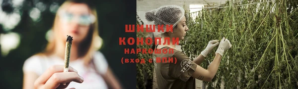 метадон Белокуриха