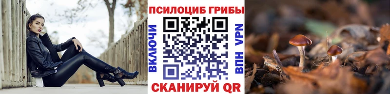 Галлюциногенные грибы MAGIC MUSHROOMS  купить закладку  Нефтегорск 