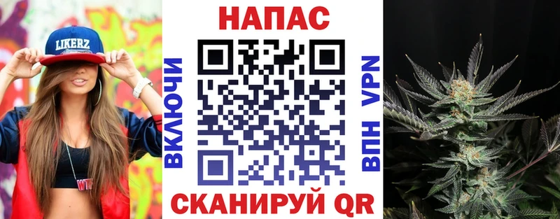 Бошки марихуана индика  Нефтегорск 